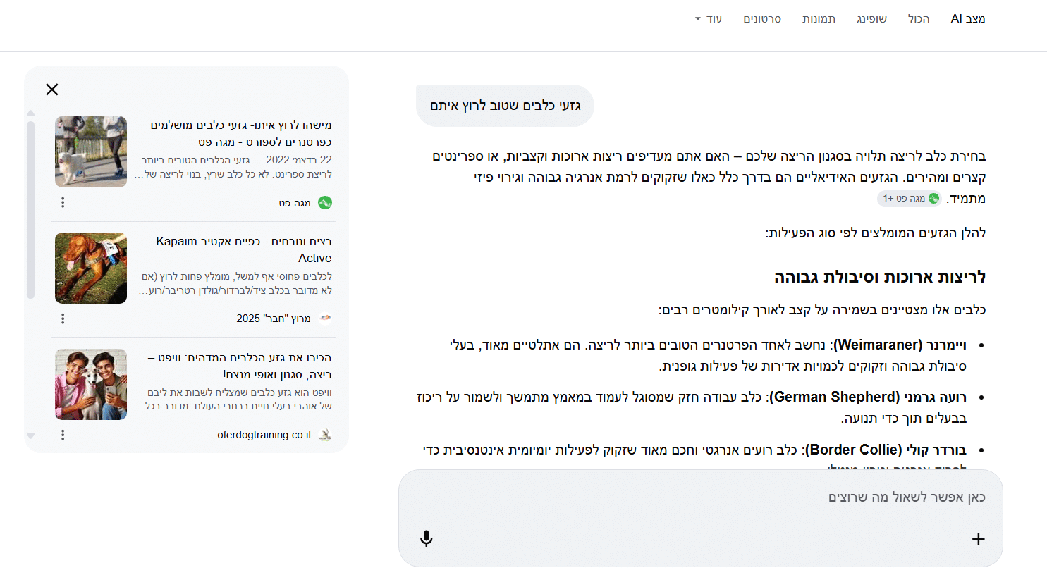 גוגל: אל תכתבו מאמרים, ספרו סיפורים אמיתיים גוגל: אל תכתבו מאמרים, ספרו סיפורים אמיתיים
