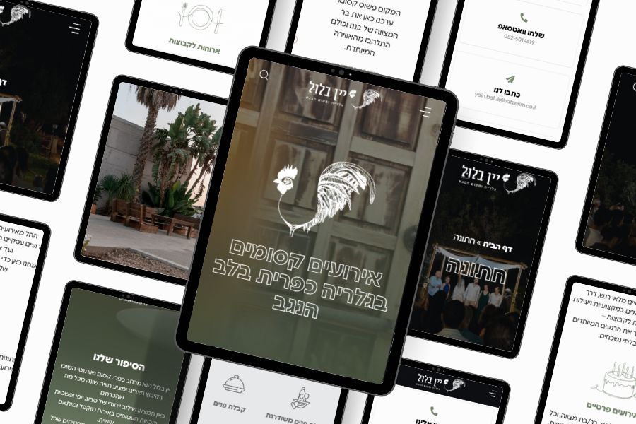 פיתוח אתרים